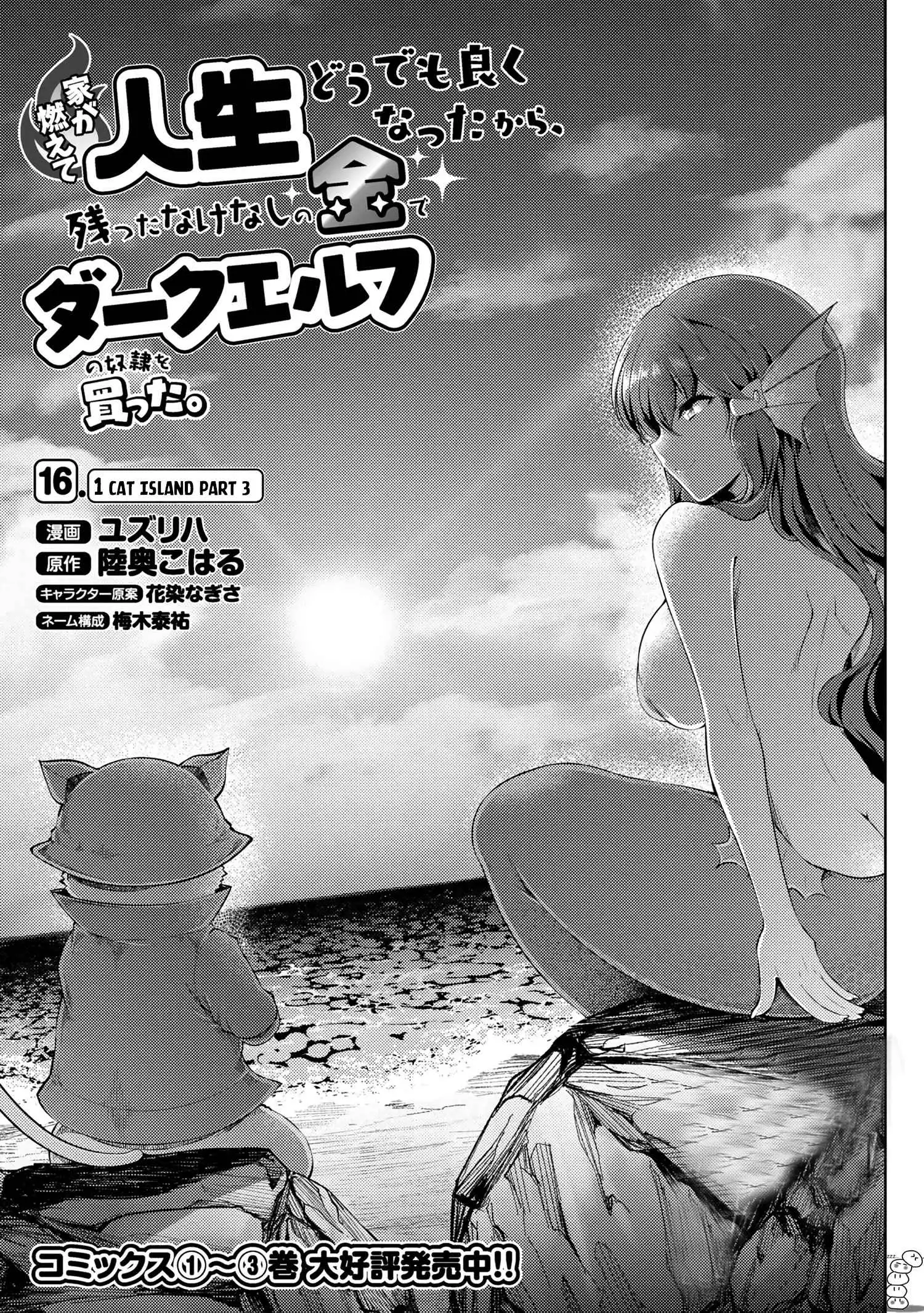 Ie ga Moete Jinsei Dou Demo Yoku Natta kara, Nokotta Nakenashi no Kin de Dark Elf no Dorei o Katta Chapter 16.1 2